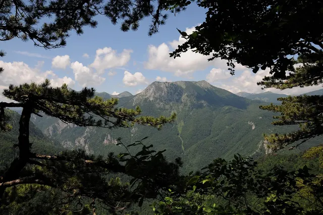 Sutjeska National Park and Tjentište