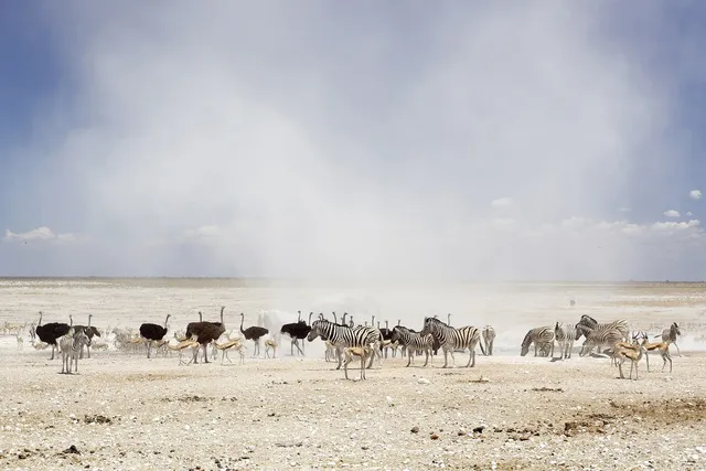 Etosha National Park eastern gates