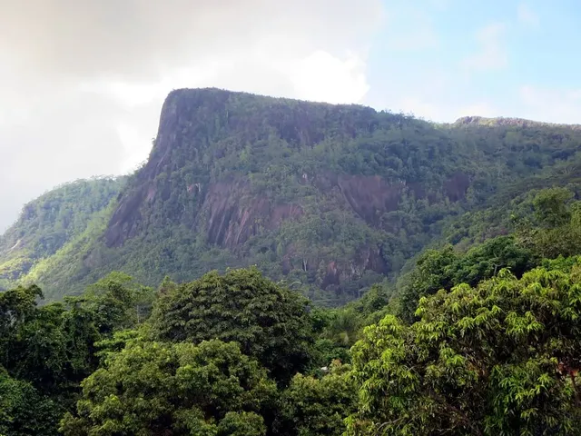 Morne Seychellois mountain trails