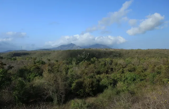 West Bali National Park and Pemuteran