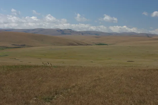 Nyika Plateau and Vwaza