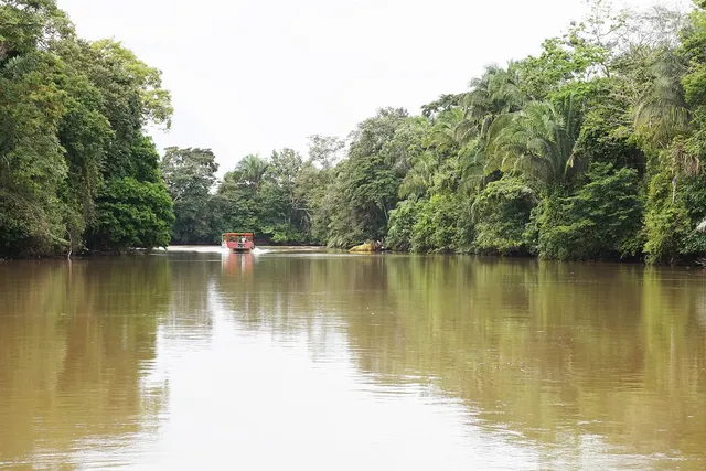 Caño Negro wetlands