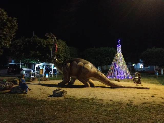 Anavilhanas and Novo Airão