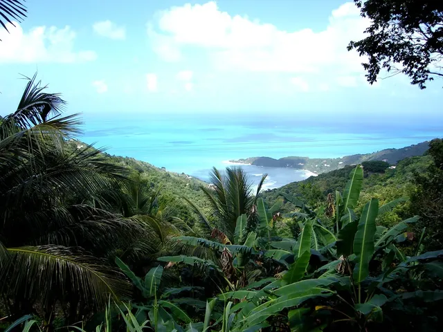 Sage Mountain and Brewer’s Bay