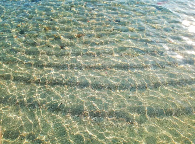 Zarzis and coastal lagoons