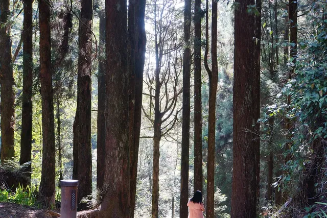 Alishan Forest Recreation Area