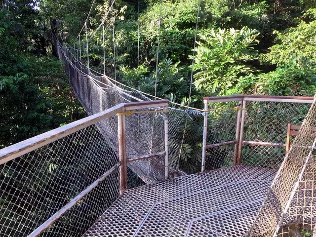 Iwokrama Rainforest Reserve
