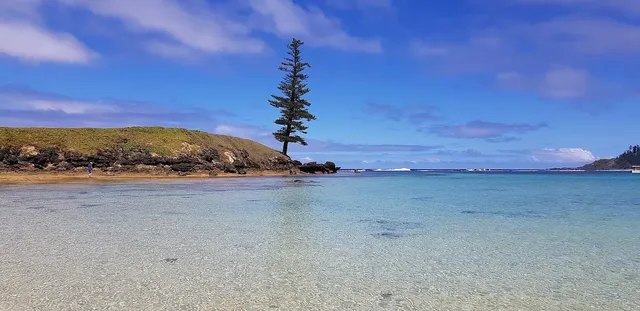 Emily Bay and Slaughter Bay