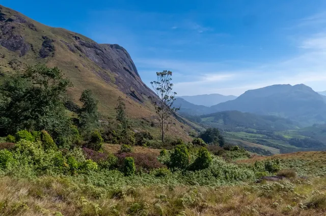 Munnar and Thekkady