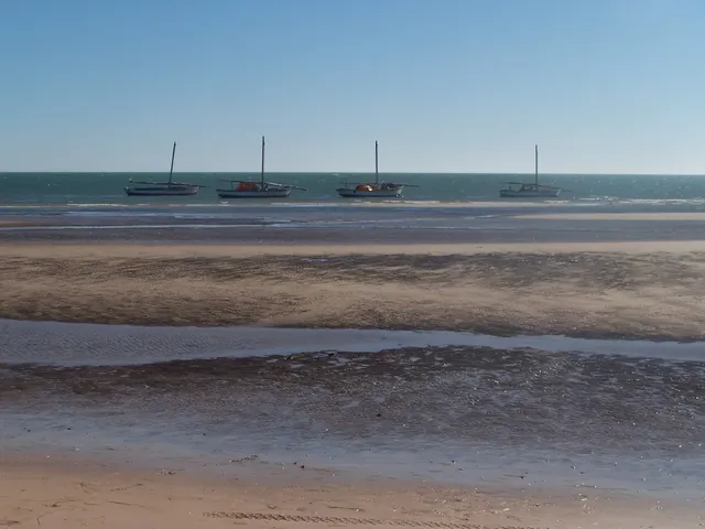 Banc d'Arguin coastal gateway