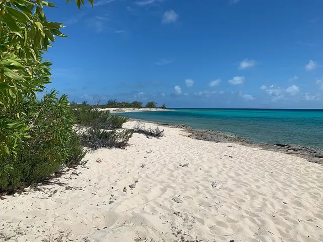 Grand Turk