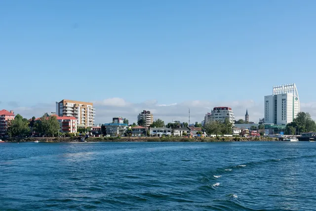 Valdivia and Niebla