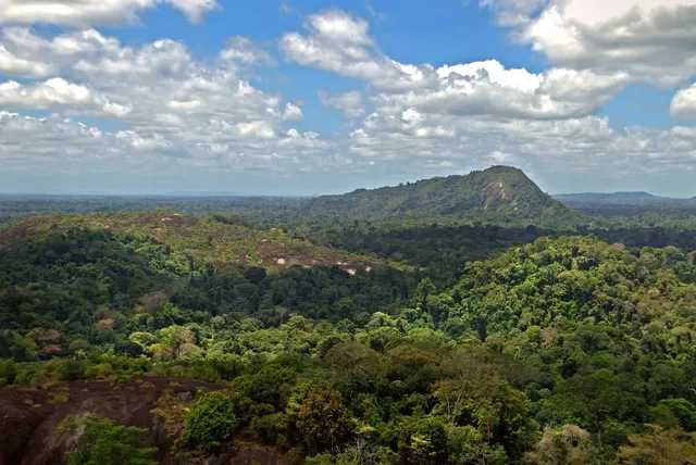 Brownsberg Nature Park