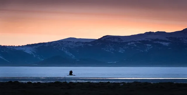Lake Markakol and Zaysan