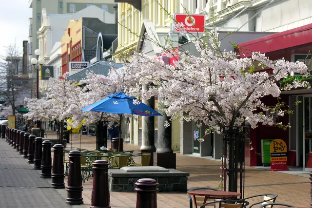 Invercargill and the Catlins