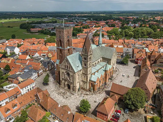 Ribe and Wadden Sea