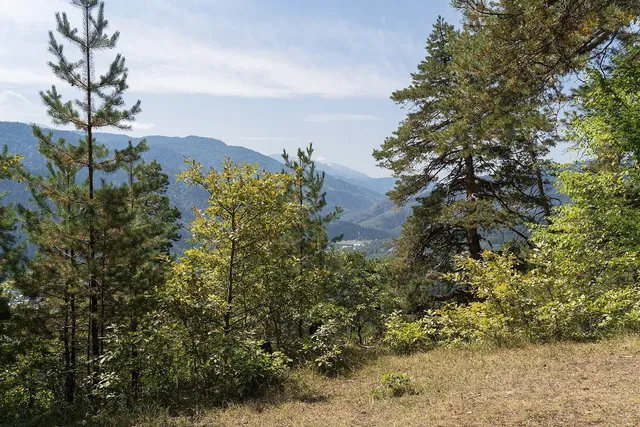 Borjomi and Likani