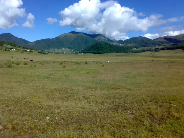 Phobjikha Valley and Gangtey
