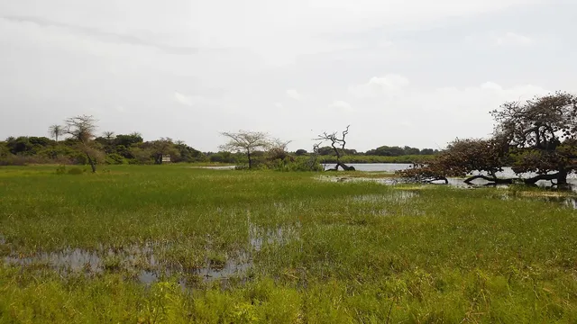 Orango National Park