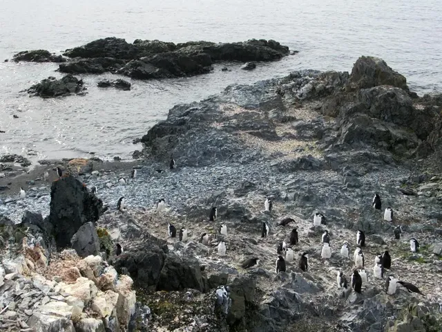 Half Moon Island
