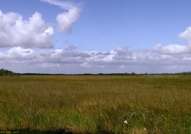 Everglades and Florida Keys