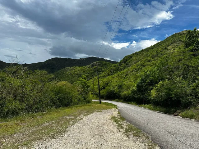 Fig Tree Drive and Wallings