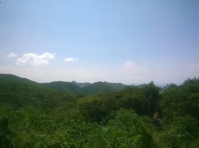 Pic Paradis and Loterie Farm area