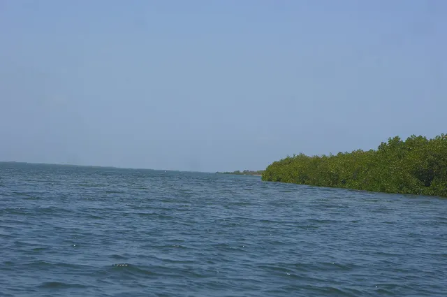 Palmarin, Toubacouta and delta