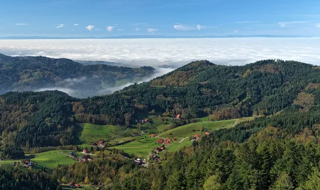 Black Forest and Freiburg