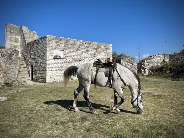 Berat