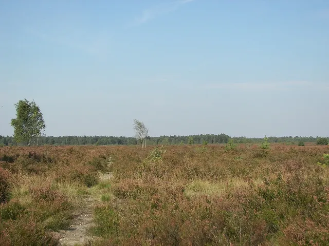 Lüneburg Heath and Harz North