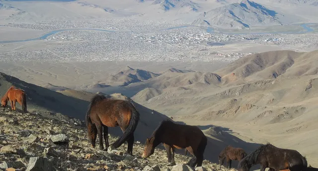 Ölgii and Altai Tavan Bogd