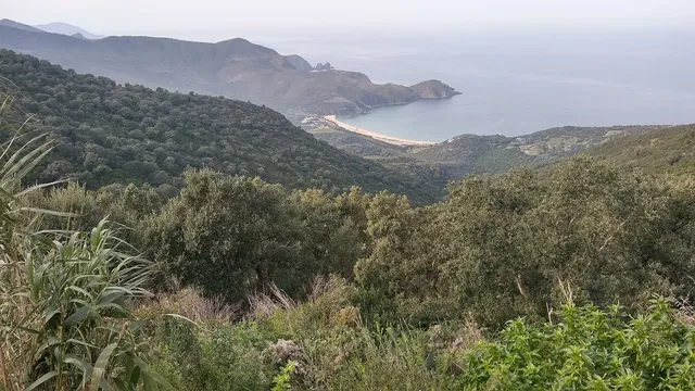 Annaba and Hippo Regius