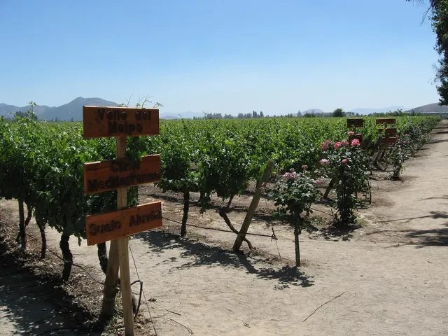 Maipo Valley and Cajón del Maipo