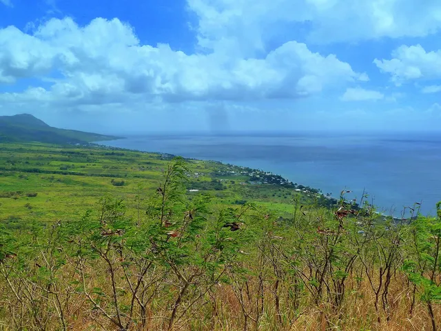 Brimstone Hill and coastal forts