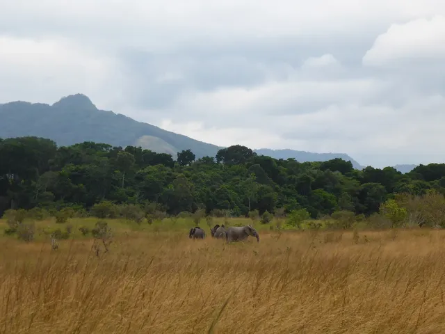 Lopé National Park