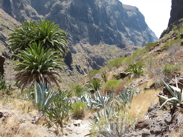 Tenerife and La Gomera