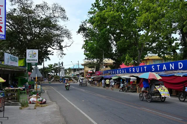 Moalboal and Oslob