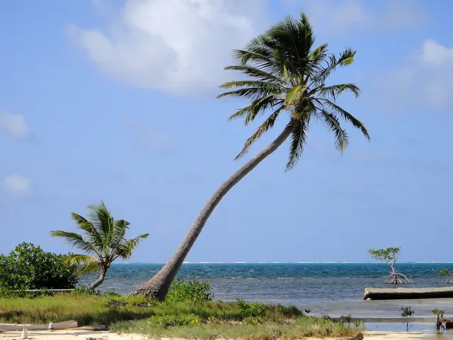 Turneffe Atoll and Glover’s Reef