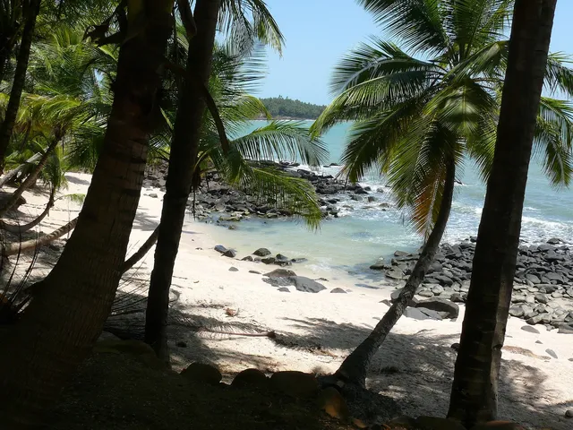 Îles du Salut
