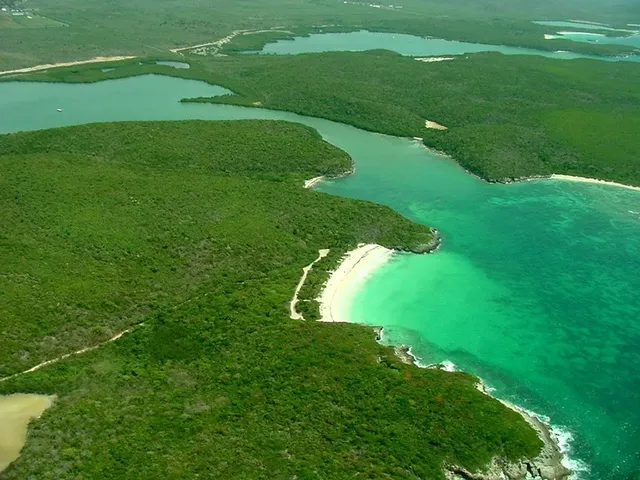 Vieques, Puerto Rico
