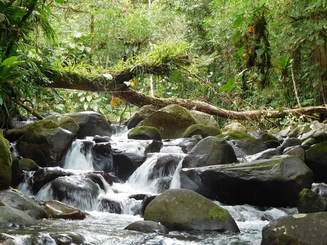 Sainte-Rose and Guadeloupe National Park