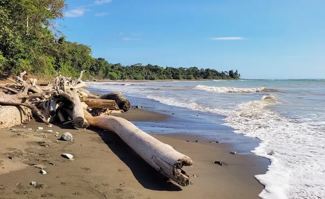 Puerto Jiménez and Corcovado