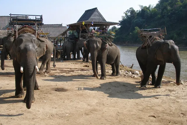 Chiang Rai